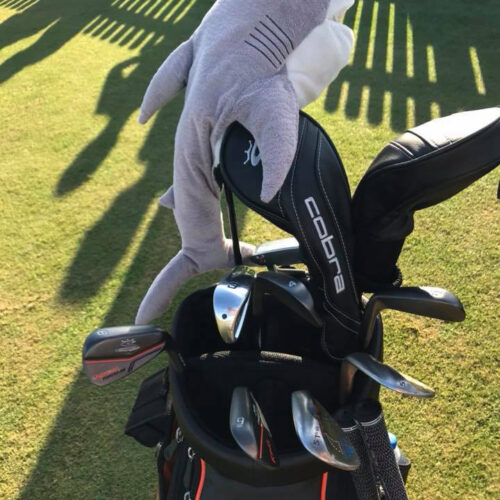 2017 PNC Father/Son Challenge 2017 PNC Father/Son Challenge