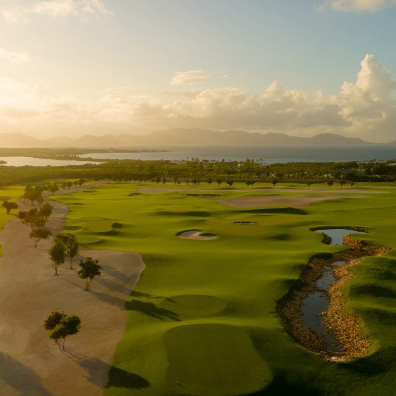 Aurora International Aurora International