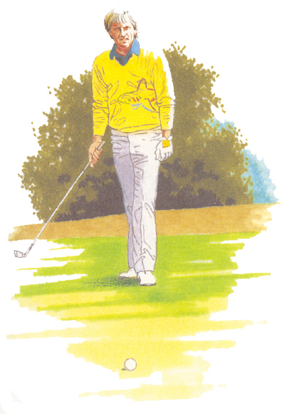 Step All the Way Back