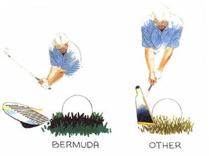 Blast from Bermuda, Putt the Rest