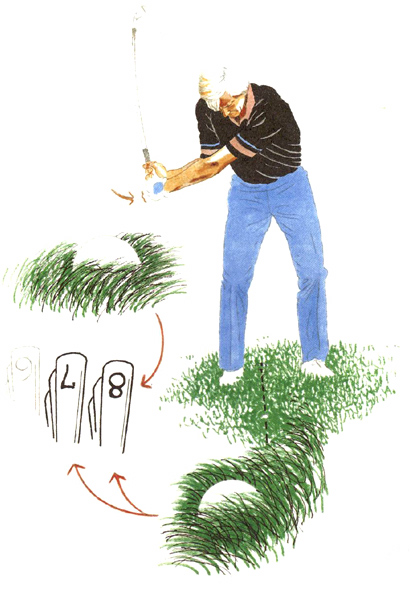 How‘s it Growing How‘s it Growing