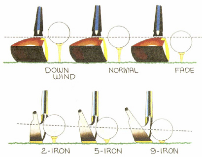 Suit Your Shot to a Tee