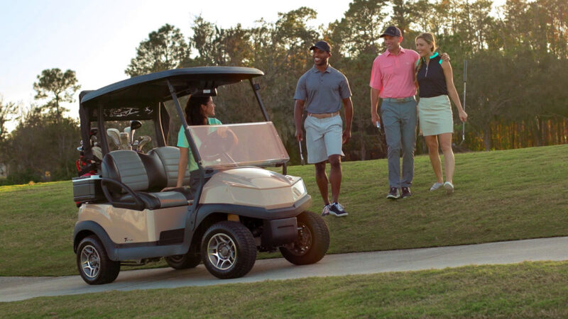 Shark Experience / GN Media Shark Experience / GN Media